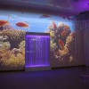 Проекционный дизайн "Виртуальная реальность" базовый комплект 500 анимаций - «globural.ru» - Саранск