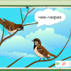 Интерактивное развивающее пособие "Говорящие картинки. Слушаем и повторяем" - «globural.ru» - Саранск