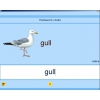 Английский язык. Освоение клавиатуры - «globural.ru» - Саранск