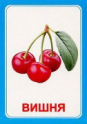 Логопедические карточки и картинки для развития речи - «globural.ru» - Саранск