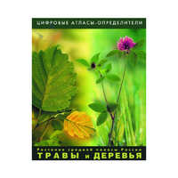 Растения средней полосы России "Травы и Деревья". (Цифровые атласы-определители) - «globural.ru» - Саранск