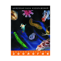Зоология. Микрофотографии. (Цифровая база изображений) - «globural.ru» - Саранск