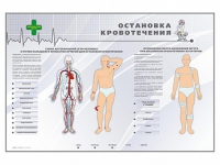 Электрифицированный стенд "Остановка кровотечения" - «globural.ru» - Саранск