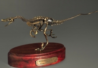 Модель скелета динозавра Velociraptor - «globural.ru» - Саранск