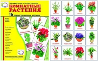 Демонстрационные карточки "Комнатные растения" - «globural.ru» - Саранск