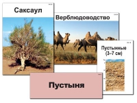 Модель-аппликация "Природные зоны России" - «globural.ru» - Саранск
