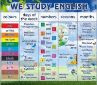 Стенд "We study english" - «globural.ru» - Саранск