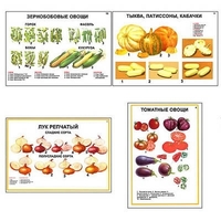 Плакаты ПРОФТЕХ "Ассортимент овощных культур" (12 пл, винил, 70х100) - «globural.ru» - Саранск