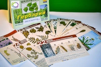 Гербарий к курсу основ общей биологии - «globural.ru» - Саранск