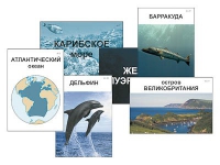 Модель-аппликация "Океаны. Знакомство" (ламинированная) - «globural.ru» - Саранск