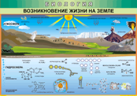 Таблица Возникновение жизни на Земле 1000*1400 винил - «globural.ru» - Саранск