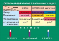 Таблица Окраска индикаторов в различных средах (винил) - «globural.ru» - Саранск