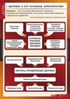 ОБЖ Здоровый образ жизни (комплект таблиц) - «globural.ru» - Саранск