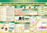 Таблица Биотические взаимоотношения организмов 1000*700 (винил) - «globural.ru» - Саранск