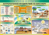 Таблица Антропогенное воздействие на биосферу 1000*700 винил - «globural.ru» - Саранск
