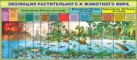 Стенд "Эволюция растительного и животного мира" - «globural.ru» - Саранск