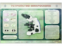 Электрифицированный стенд "Устройство микроскопа и правила работы c ним" - «globural.ru» - Саранск