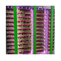 Вертикальная ферма "Моя Микрозелень" комплектация Школьная - «globural.ru» - Саранск