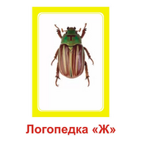 Логопедка "Ж" (логопедические карточки) - «globural.ru» - Саранск