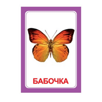 Логопедка "Ч" (логопедические карточки) - «globural.ru» - Саранск