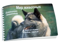 Пособие для слабовидящих "Домашние животные" - «globural.ru» - Саранск