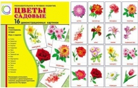 Демонстрационные карточки "Цветы садовые" - «globural.ru» - Саранск
