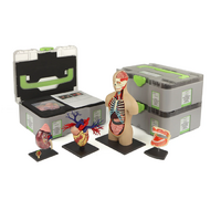 Учебный набор "Анатомия в деталях" - «globural.ru» - Саранск