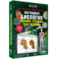 Наглядная биология. Человек. Строение тела человека - «globural.ru» - Саранск