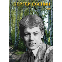 DVD Сергей Есенин - «globural.ru» - Саранск