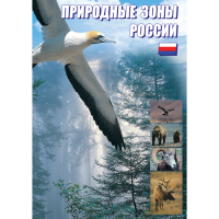 DVD Природные зоны России - «globural.ru» - Саранск