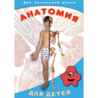 DVD  Анатомия для детей - «globural.ru» - Саранск