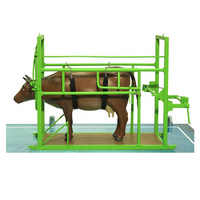 Наглядный макет «Методы и устройства для фиксации КРС» - «globural.ru» - Саранск