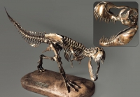 Модель скелета динозавра Tyrannosaurus - «globural.ru» - Саранск
