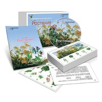 Комбинированное наглядное пособие «Растения» - «globural.ru» - Саранск