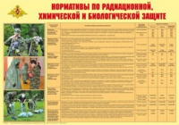 Плакат "Нормативы по радиационной, химической и биологической защите" - «globural.ru» - Саранск