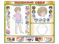 Стенд маркерный "Познаю себя" (тело, голова, органы чувств) - «globural.ru» - Саранск