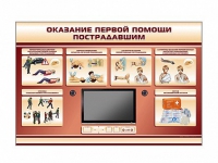 Многофункциональный интерактивный стенд-тренажер "Оказание первой помощи пострадавшим" для учащихся общеобразовательных учреждений - «globural.ru» - Саранск