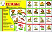 Демонстрационные карточки  "Грибы съедобные и не съедобные" - «globural.ru» - Саранск