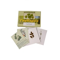 Гербарий "Деревья и кустарники" (22 вида, с иллюстрациями) - «globural.ru» - Саранск