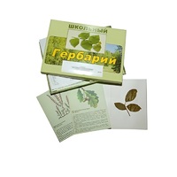 Гербарий "Дикорастущие растения" (30 видов, с иллюстрациями) - «globural.ru» - Саранск