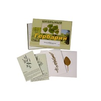 Гербарий "Лекарственные растения" (22 вида, с иллюстрациями) - «globural.ru» - Саранск
