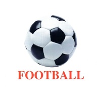 Карточки Домана "Sports equipment-1" ("Спортинвентарь-1") на английском языке - «globural.ru» - Саранск