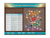 Интерактивный электрифицированный стенд "Эволюция животного мира" - «globural.ru» - Саранск