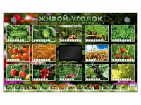 Комплект оборудования "Живой уголок" (растения) - «globural.ru» - Саранск