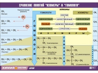 Таблица демонстрационная "Сравнение понятий изомер и гомолог" (винил 100х140) - «globural.ru» - Саранск