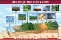 Таблица демонстрационная "Смена природных зон от полюсов к экватору" (винил 70x100) - «globural.ru» - Саранск
