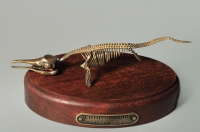Модель скелета ихтиозавра Ichthyosaurus - «globural.ru» - Саранск