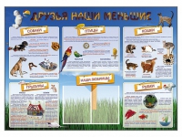 Стенд-уголок "Друзья наши меньшие" - «globural.ru» - Саранск