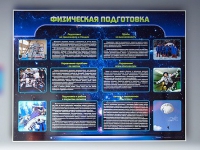 Стенд "Физическая подготовка" (вариант 2) - «globural.ru» - Саранск
