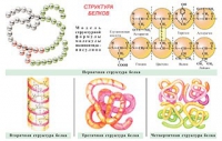 Плакаты и таблицы по общей химии - «globural.ru» - Саранск